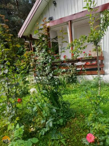 Plot Sale Piaski Duchowne 5