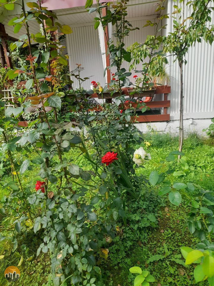 Plot Sale Piaski Duchowne 6