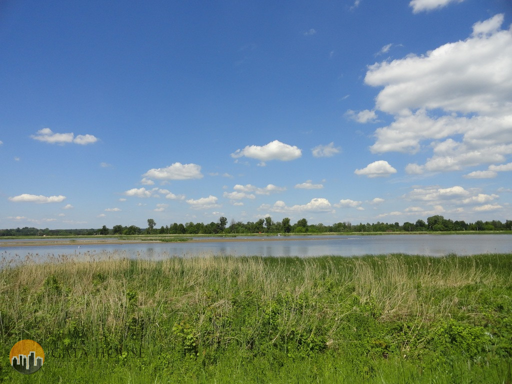 Działka Sprzedaż Arciechów 3