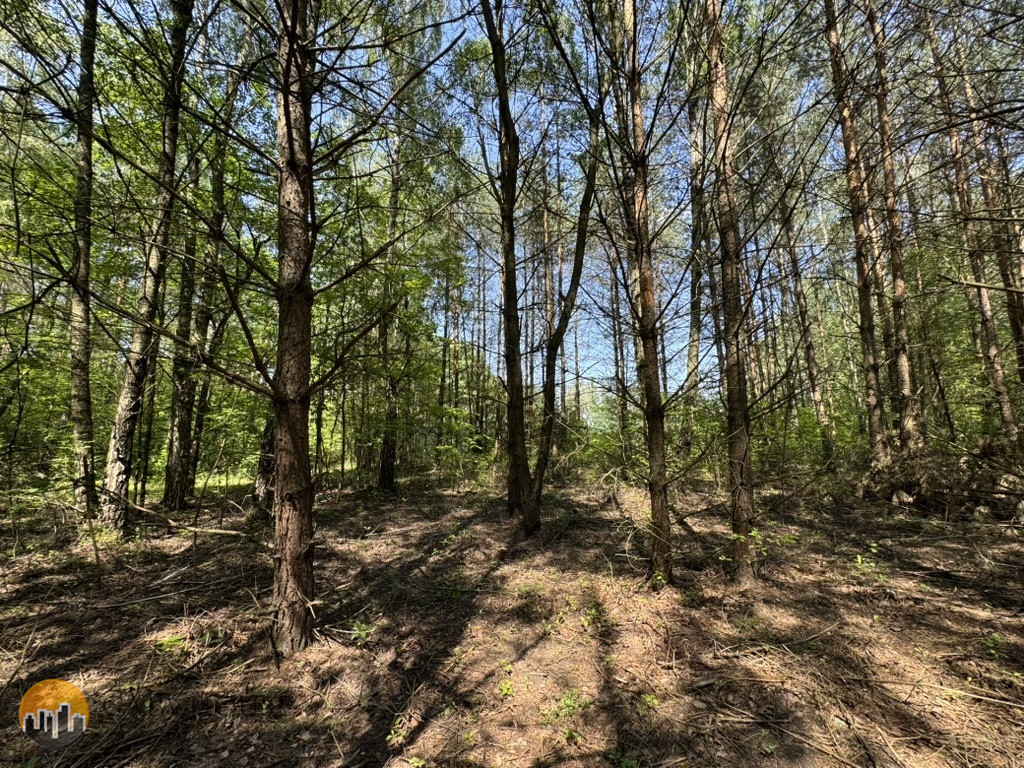 Działka Sprzedaż Badowo-Dańki 6