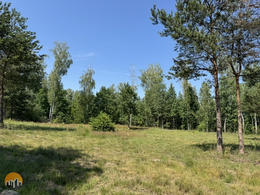 Działka Sprzedaż Badowo-Dańki 10