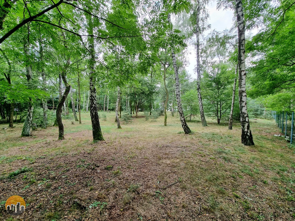 Działka Sprzedaż Książenice al.&nbsp;Sadowa 6