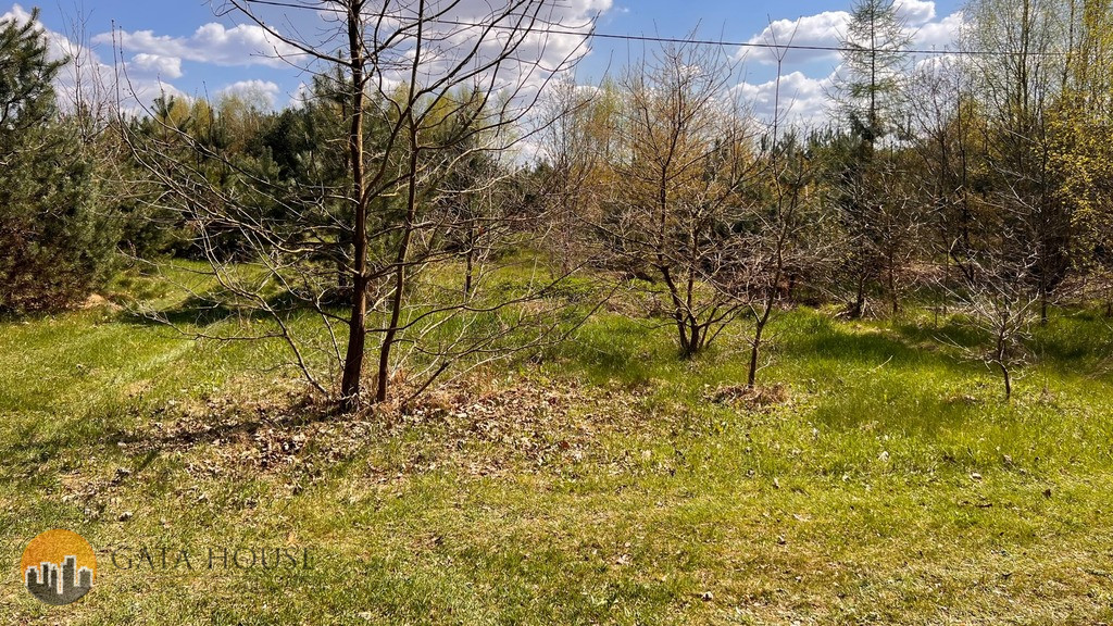 Plot Sale Nowy Prażmów 2