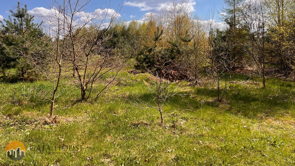 Plot Sale Nowy Prażmów 3