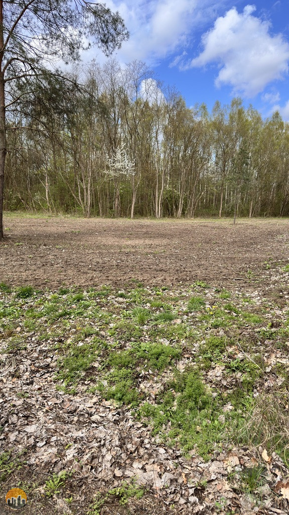 Plot Sale Kornelówka 2