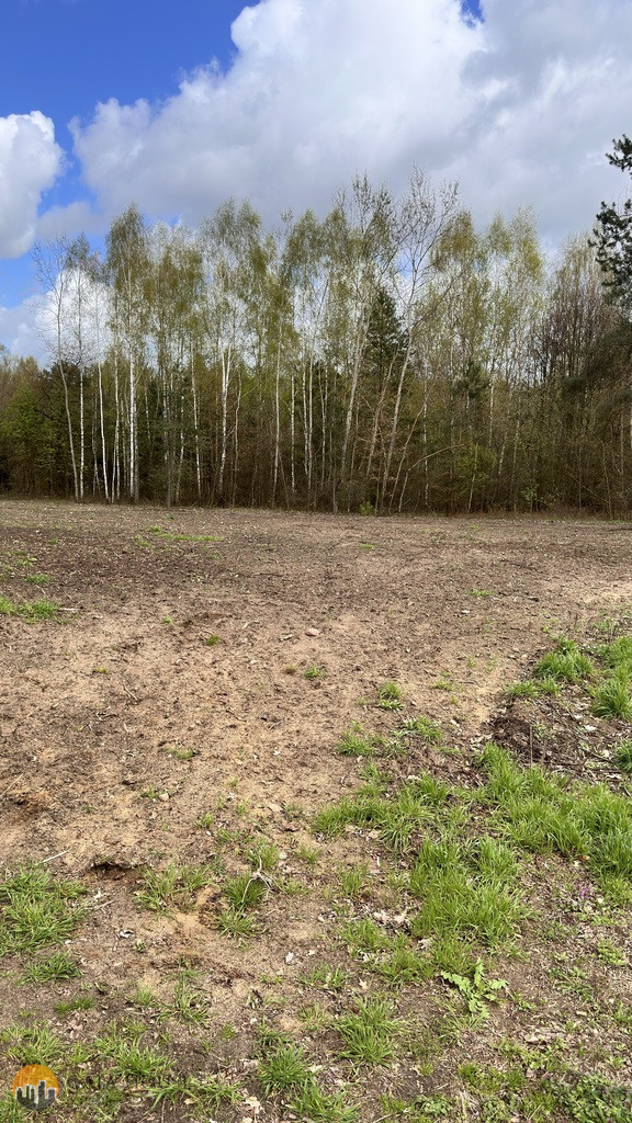 Plot Sale Kornelówka 4