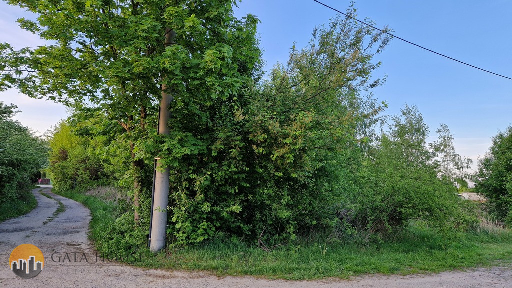 Plot Sale Dębina Pańska 4