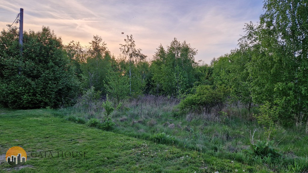 Plot Sale Dębina Pańska 6