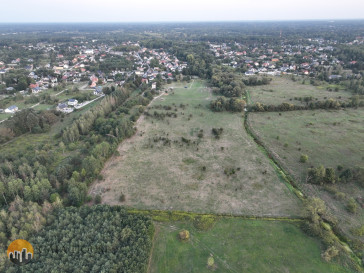 Plot Sale Okuniew