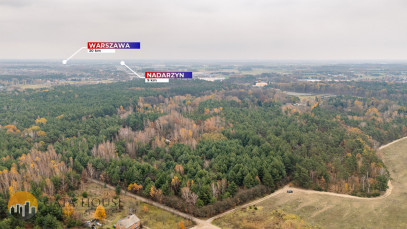 Działka Sprzedaż Siestrzeń Nad Lasem