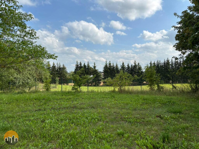 Plot Sale Karwie 21