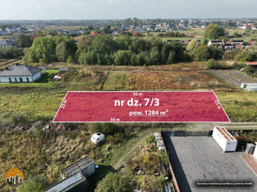 Plot Sale Dawidy Bankowe Kwiatów Polnych