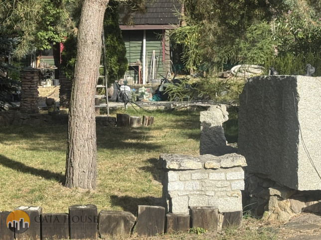 Plot Sale Dobrzyń Prosta 6