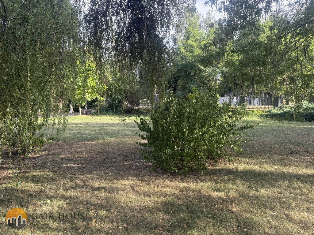 Plot Sale Dobrzyń Prosta