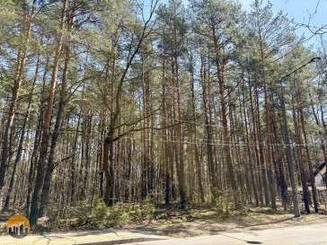 Działka Sprzedaż Warszawa Wawer Kwitnącej Akacji