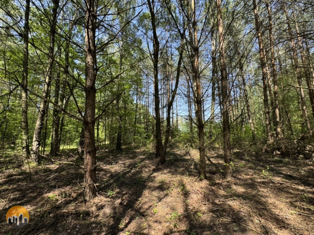 Działka Sprzedaż Badowo-Dańki 6