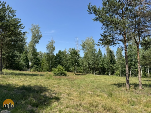 Działka Sprzedaż Badowo-Dańki 10