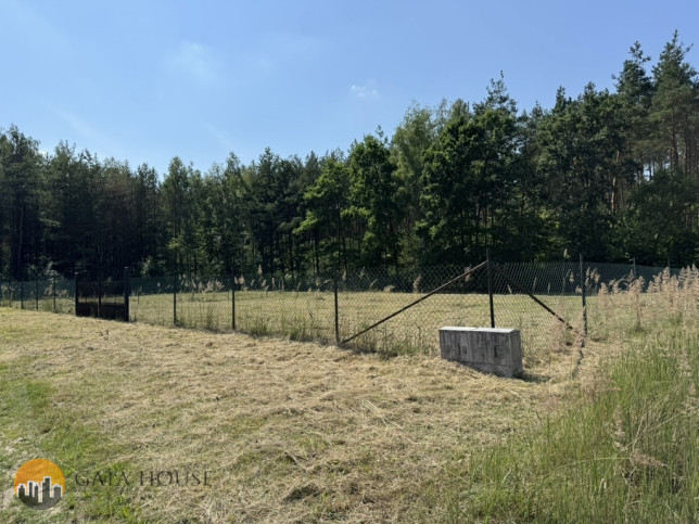 Działka Sprzedaż Badowo-Dańki 12
