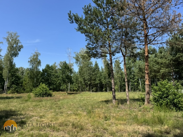 Działka Sprzedaż Badowo-Dańki 13