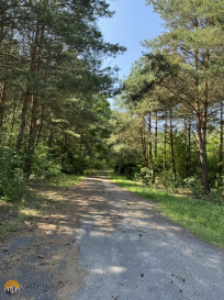 Plot Sale Badowo-Dańki