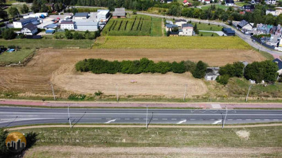 Plot Sale Tychy