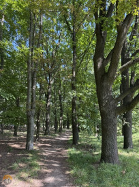 Mieszkanie Sprzedaż Warszawa Mokotów Jana Sebastiana Bacha